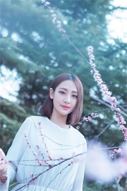 神探狄仁杰怎么有两个第四部-两部第四部究竟差在哪