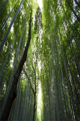 鬼吹灯之怒晴湘西-怒晴湘西原著与剧版差异到底在哪