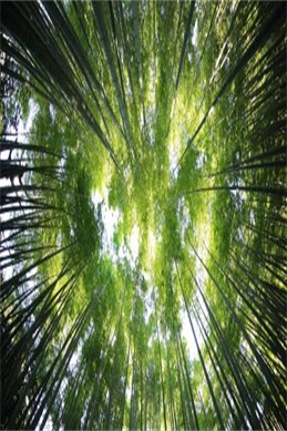天龙八部之推到甘宝宝-查询与处理建议
