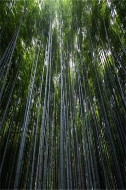 一吻定情韩国版-韩版《一吻定情》翻拍得怎么样