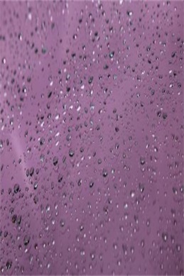 非你莫属全集完整视频-能在线看全集的地方