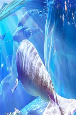 阴阳师之晴雅集在线观看-看《晴雅集》前先确认